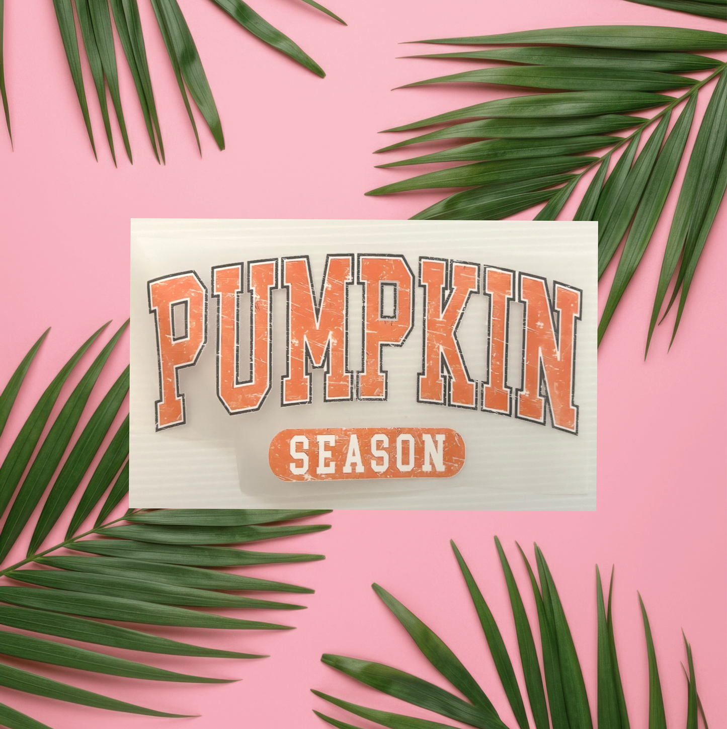 Pumpkin Season